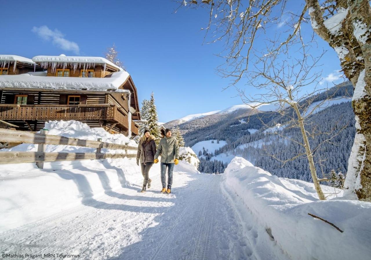 Alpstay "Eulennest" - Kaernten Card Sommer Inklusive Bad Kleinkirchheim Buitenkant foto